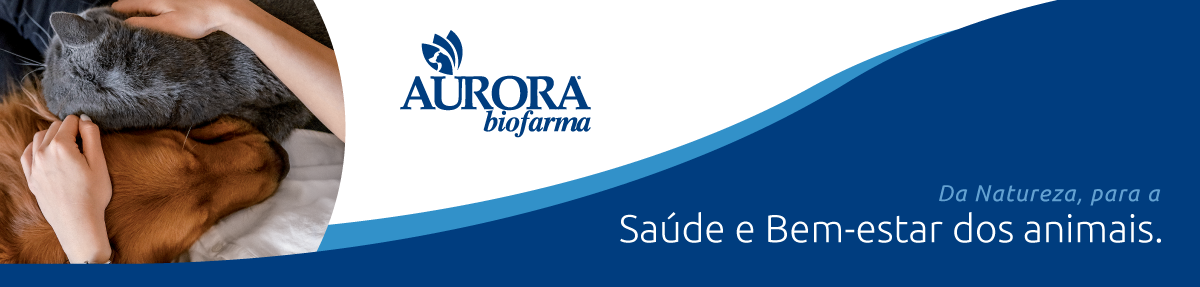 banner aurora